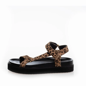 ADVENTURE LEO - LEOPARD