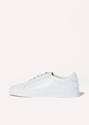 Cody Sneaker