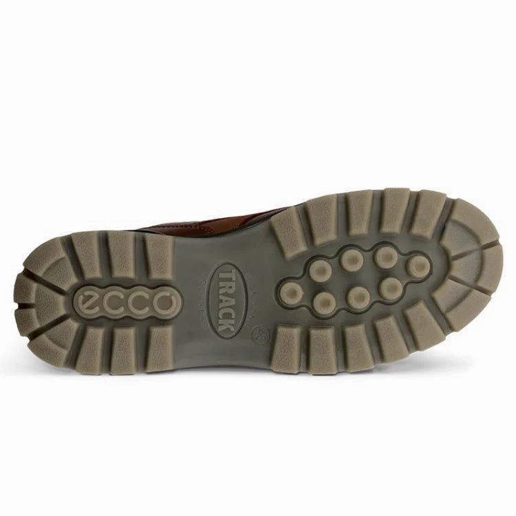 Ecco Men's Track 25 Moc GTX Shoe - Bison/Bison