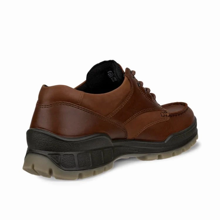 Ecco Men's Track 25 Moc GTX Shoe - Bison/Bison