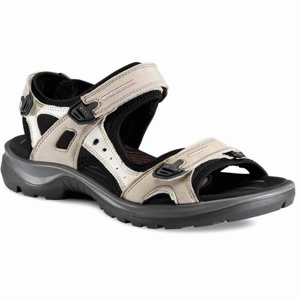 ECCO YUCATAN WOMEN TAN - 06956354695