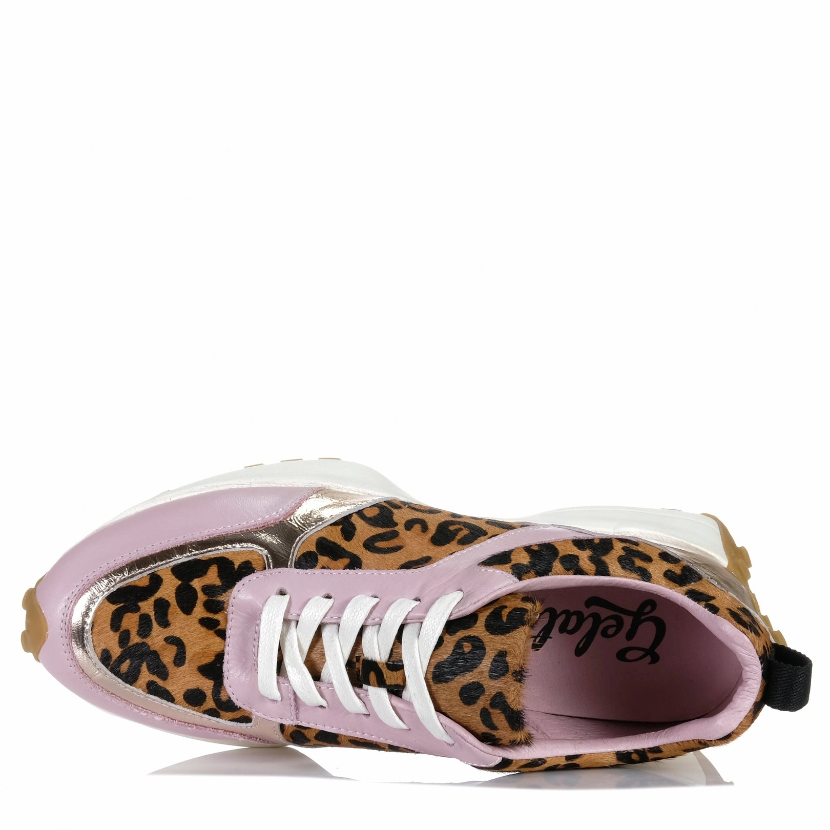 Gelato Flower Cadance/Leopard