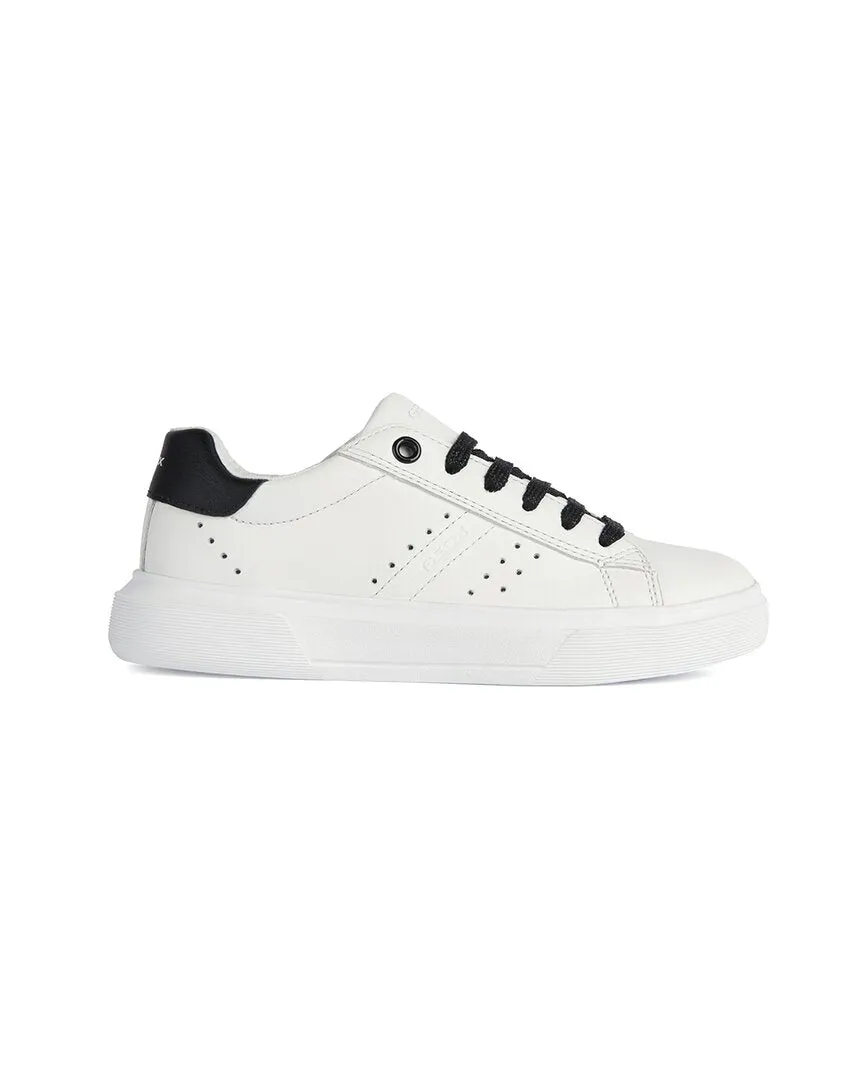 Geox J Nettuno Leather Sneaker