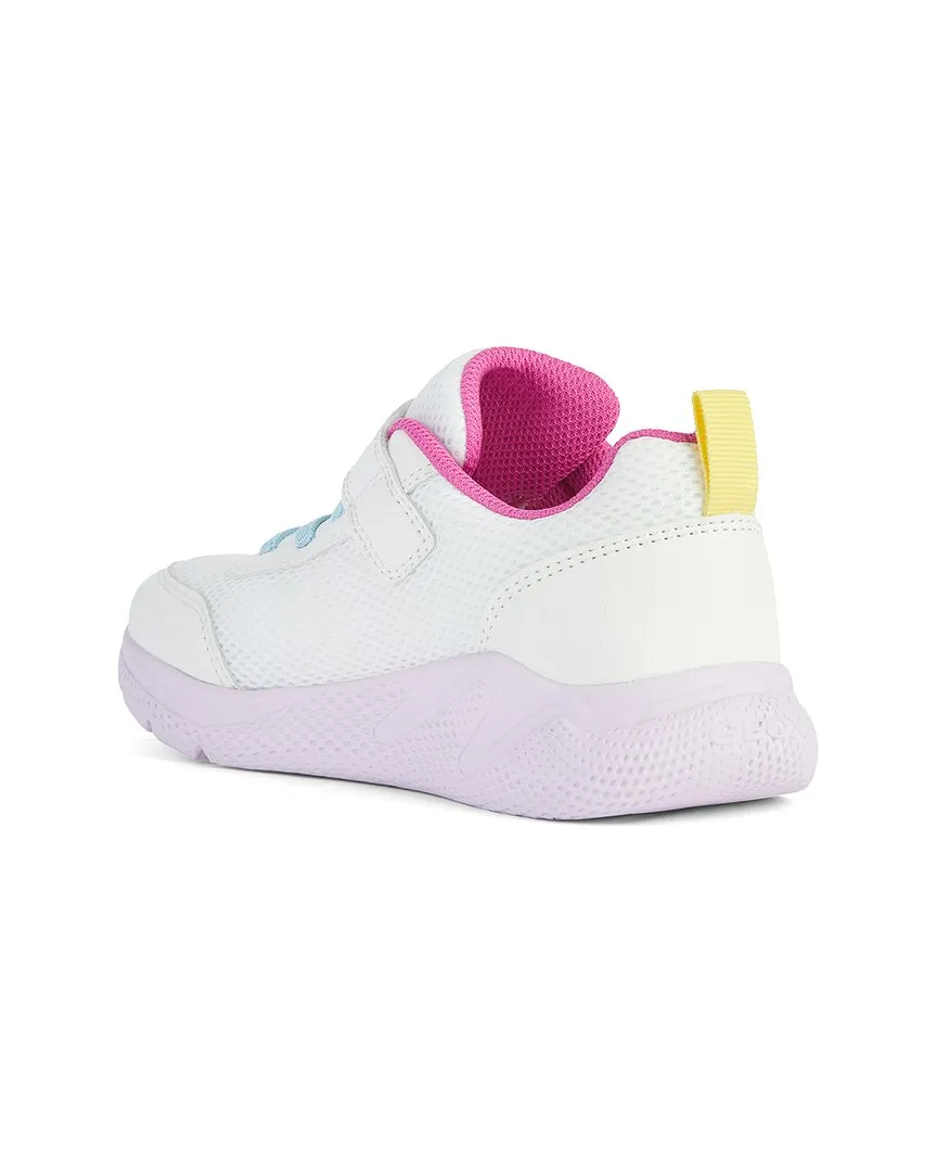 Geox Sneaker