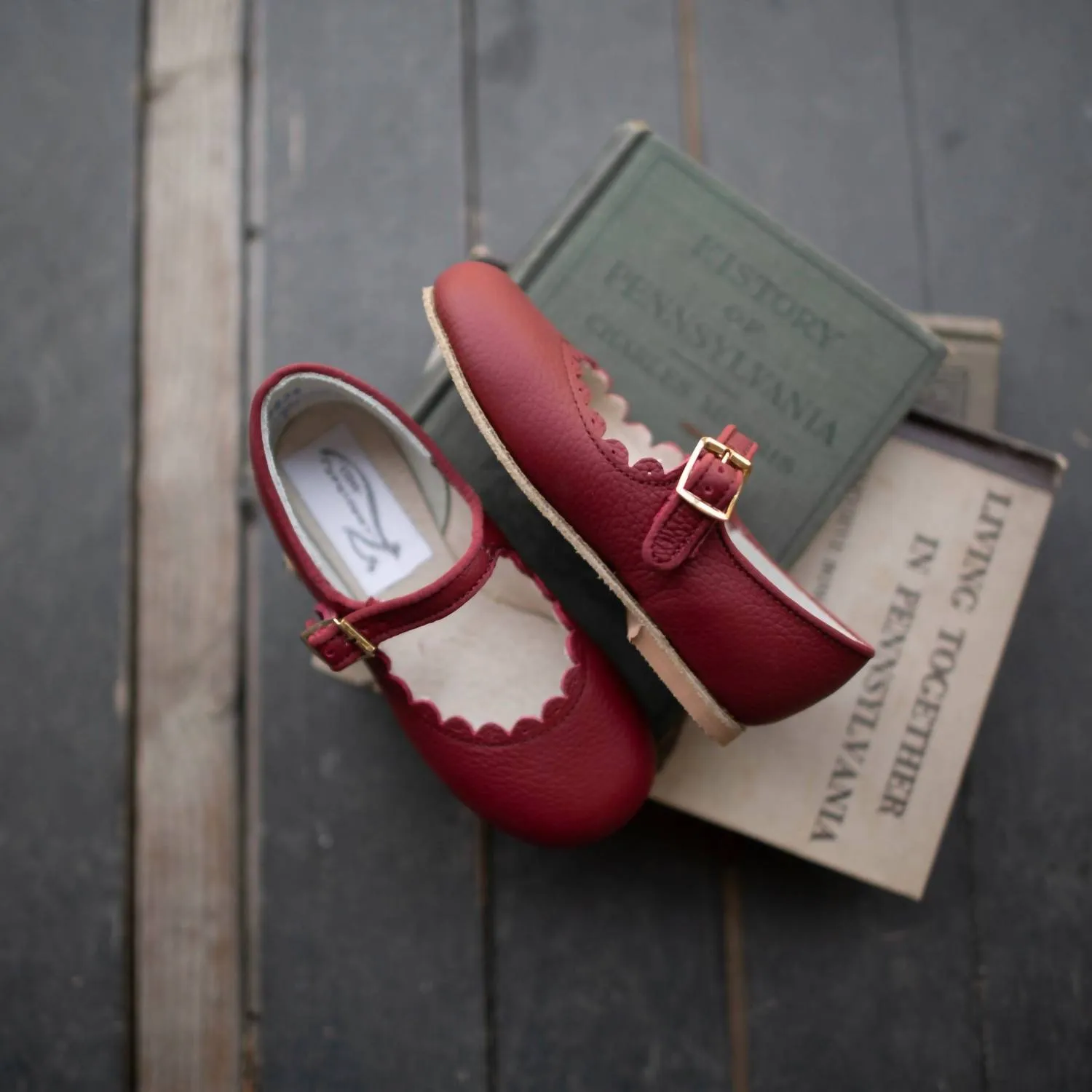 Girls Scalloped Mary Jane Shoes In Burgundy