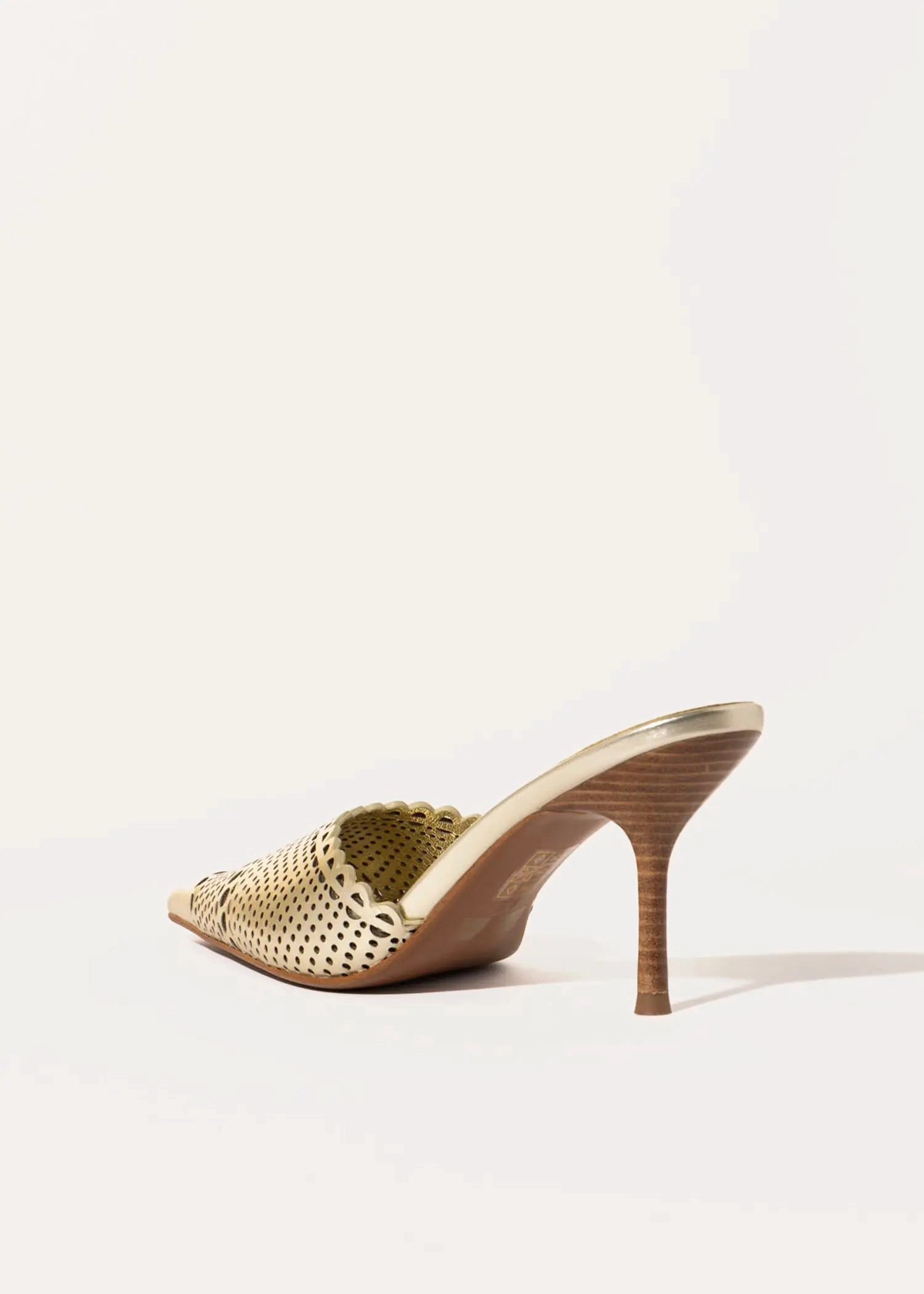 Iryna Pointed Toe Mule