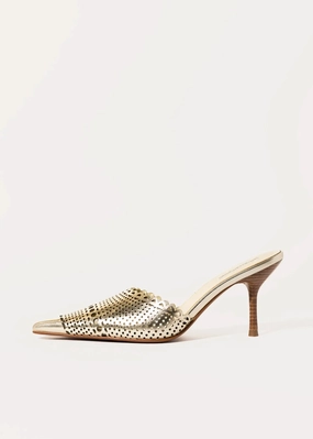 Iryna Pointed Toe Mule