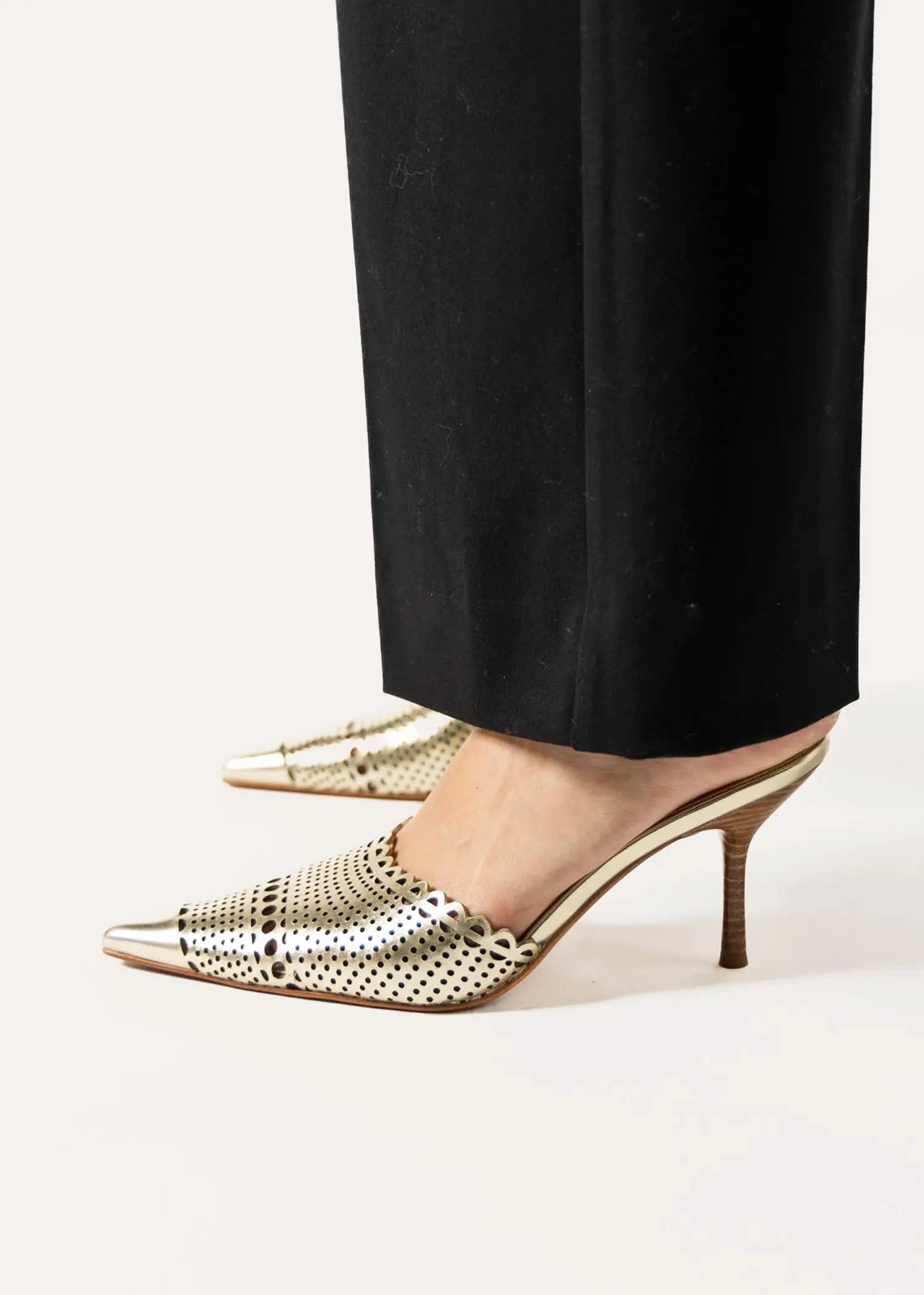 Iryna Pointed Toe Mule
