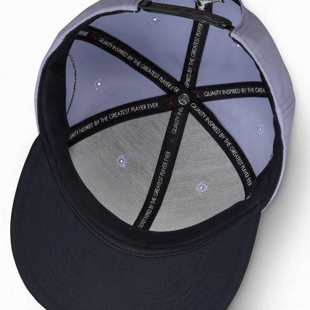 jordan Jordan Pro Cap Flight MVP Snapback