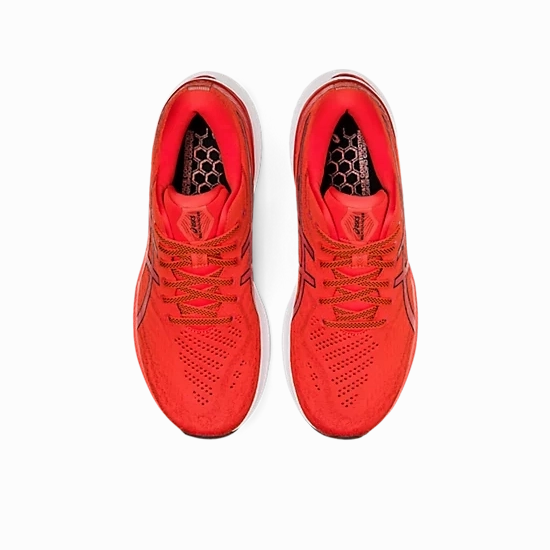 Men's Asics Gel-Kayano 29 Tomato/Black