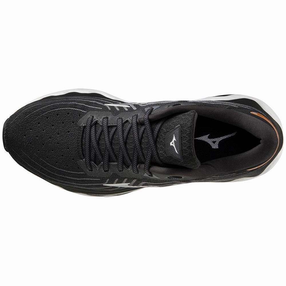 Men's Mizuno Wave Horizon 6 2E black-Silver
