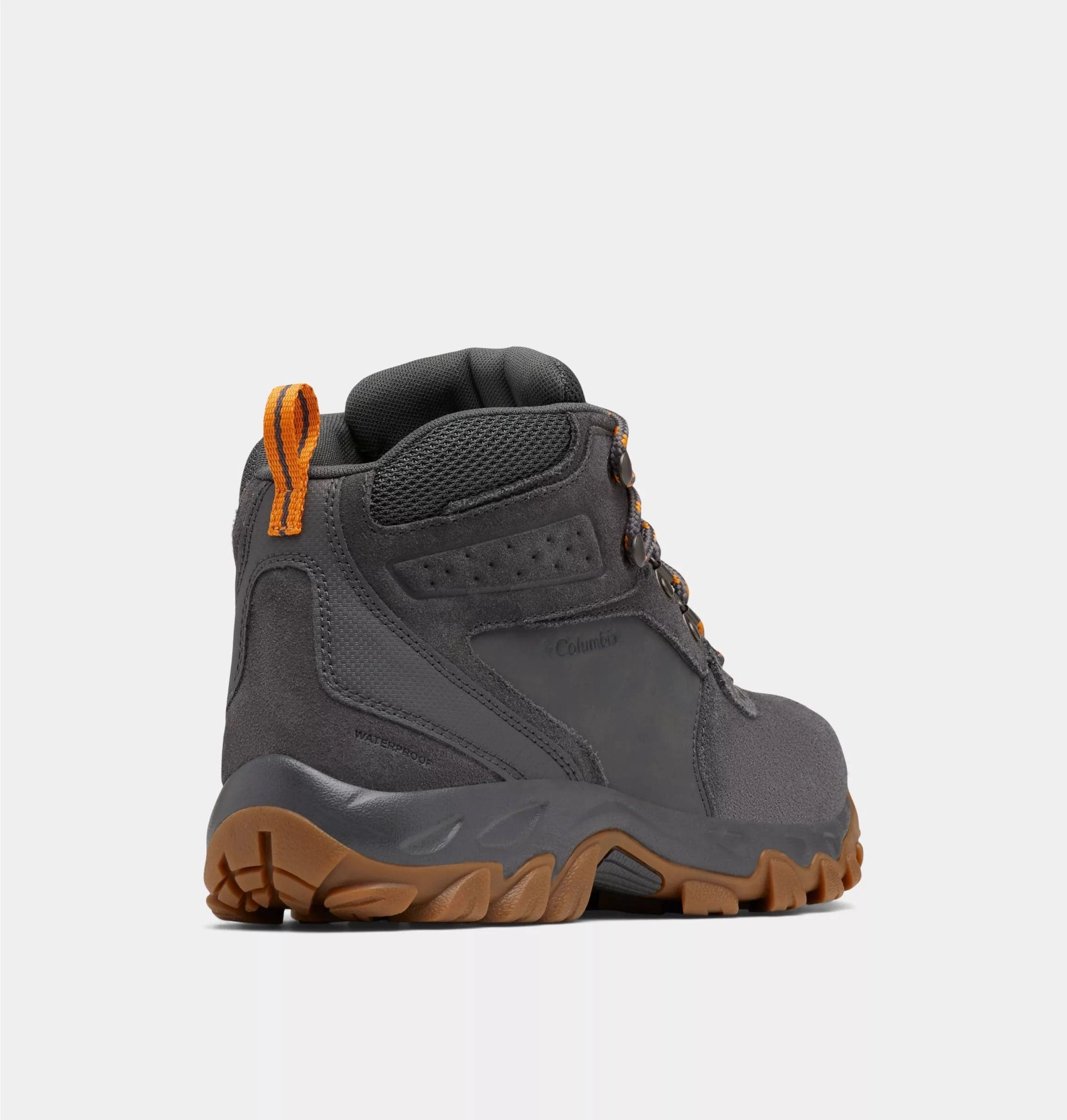 Newton Ridge Plus II Suede WP