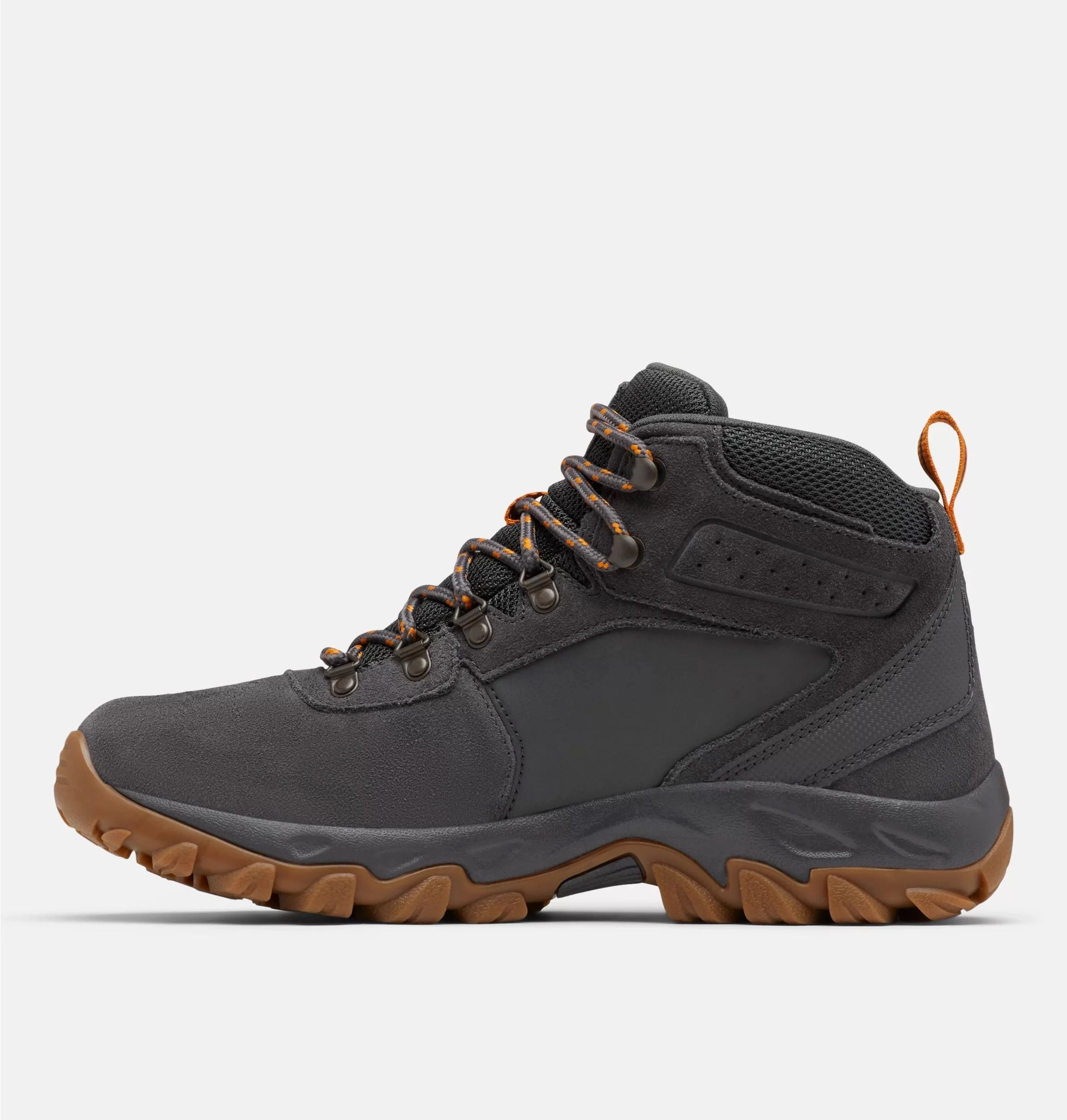 Newton Ridge Plus II Suede WP
