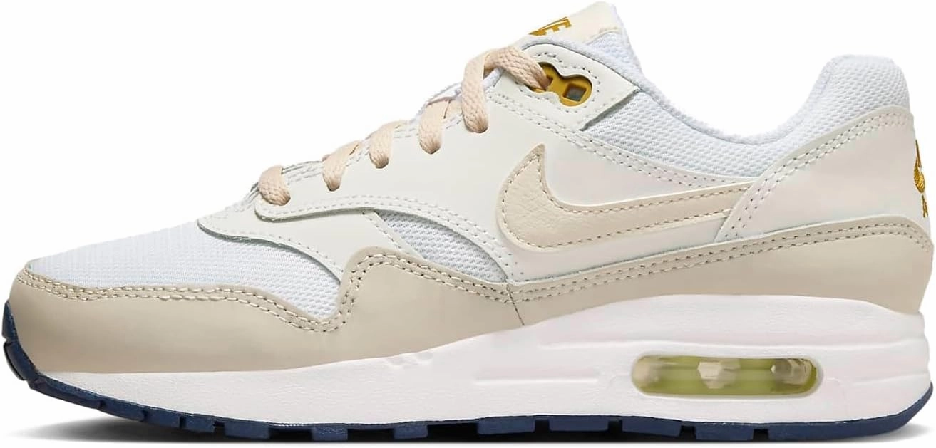 Nike Boy's Air Max 1 (Big Kid)