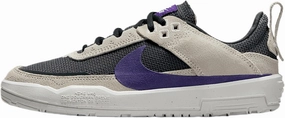 Nike SB Day One Big Kids' Skate Shoes (FN4210-004, Phantom/Dark Smoke Grey/Summit White/Court Purple)