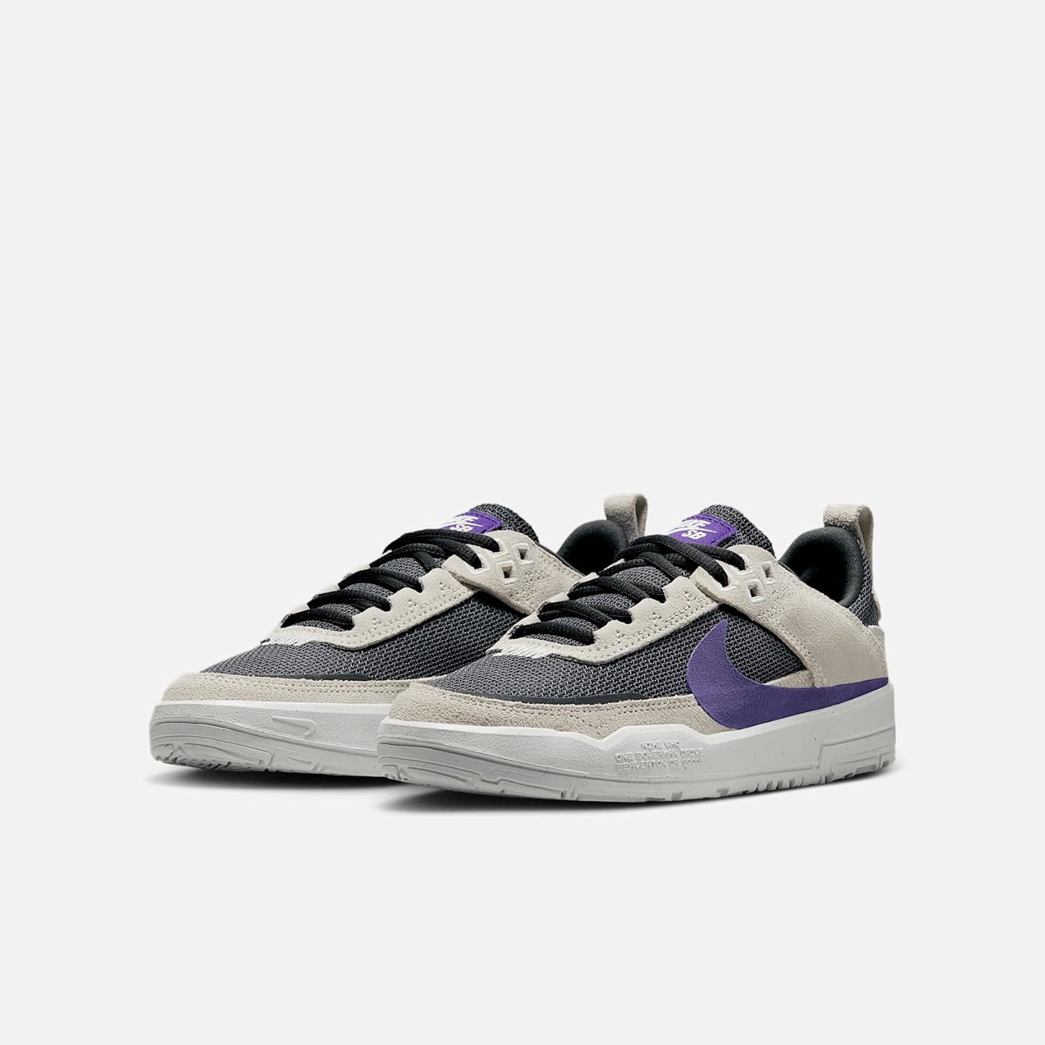Nike SB Day One Big Kids' Skate Shoes (FN4210-004, Phantom/Dark Smoke Grey/Summit White/Court Purple)