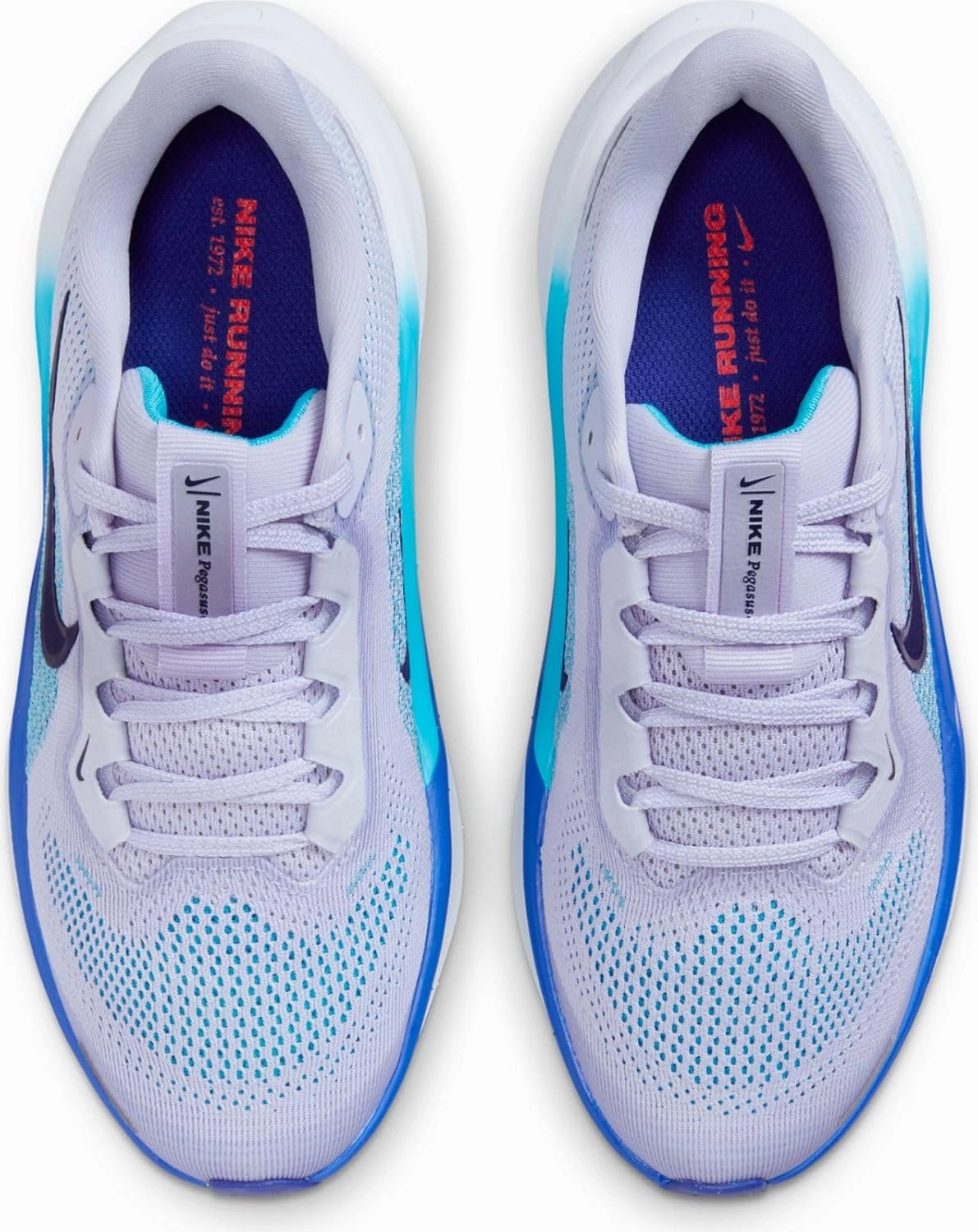 Nike Unisex-Child Pegasus 41 (Little Big Kid) Sneaker