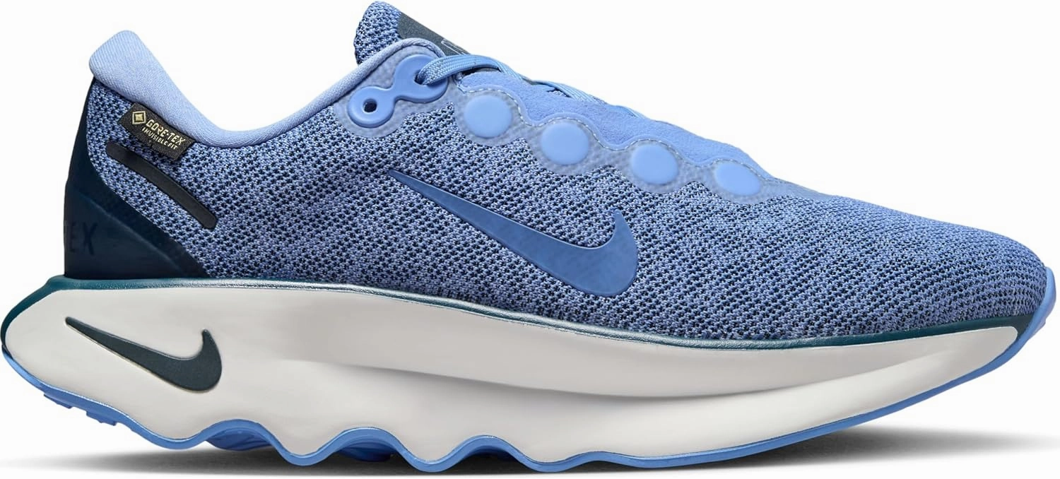 Nike Women's Laced Shoes