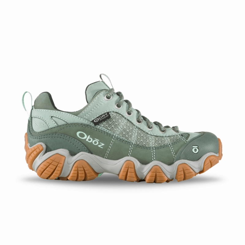 Oboz Women's Firebrand II Low Waterproof - Pale Moss