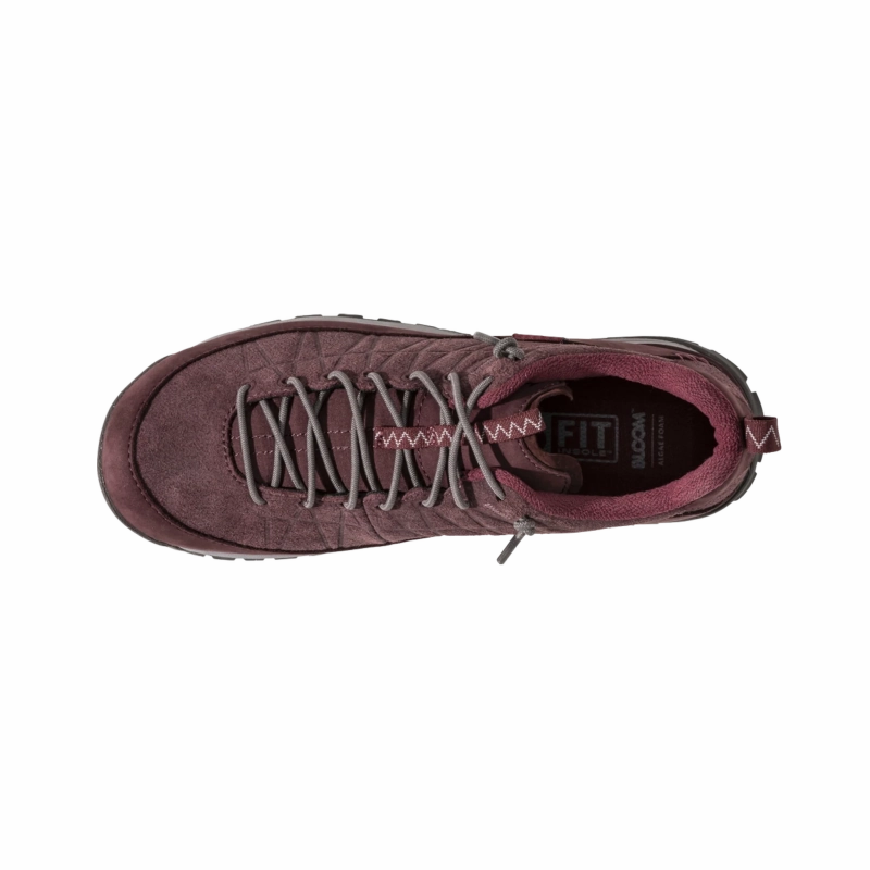 Oboz Women's Jeannette Low - Dark Dahlia