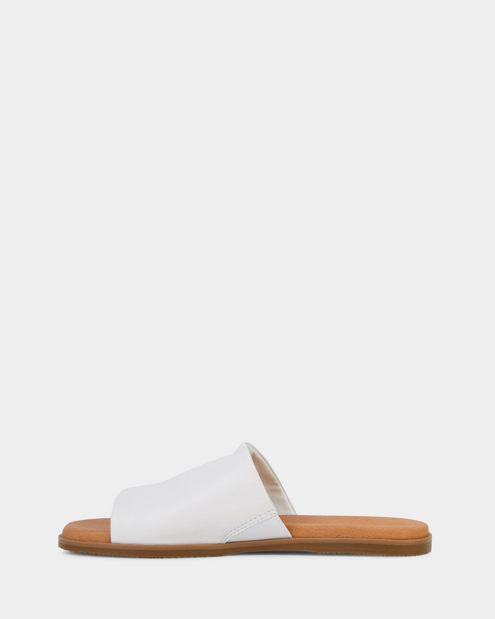 Paradise White
