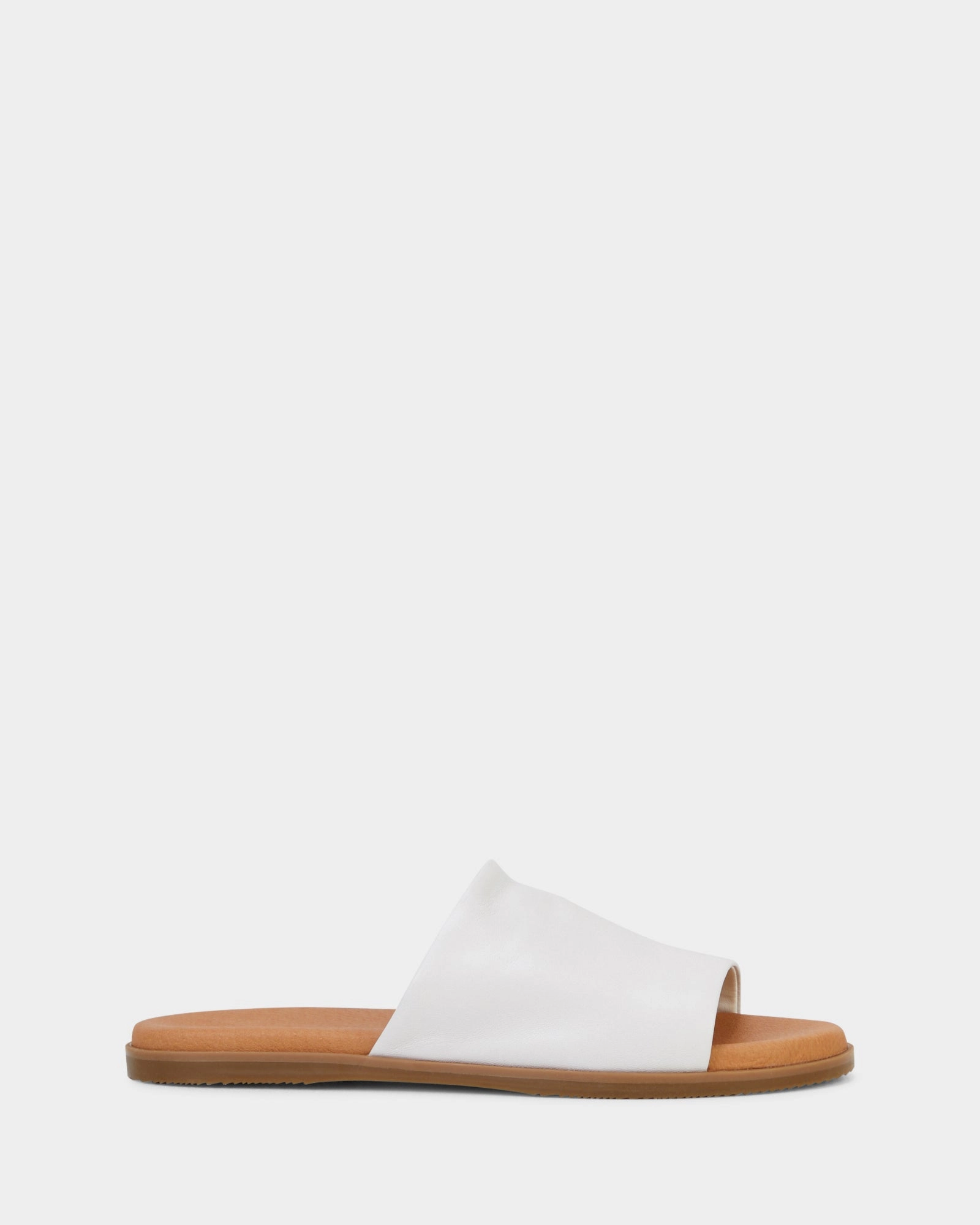 Paradise White