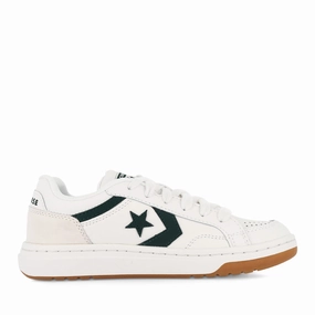 PRO BLAZE CLASSIC LOW - VINTAGE WHITE/GREEN ENVY/EGRET
