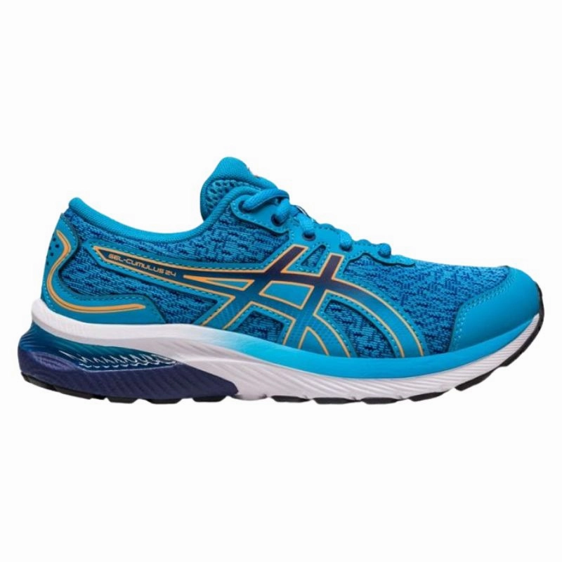 Shoes Asics Asics Gel-Cumulus 24 GS Kids