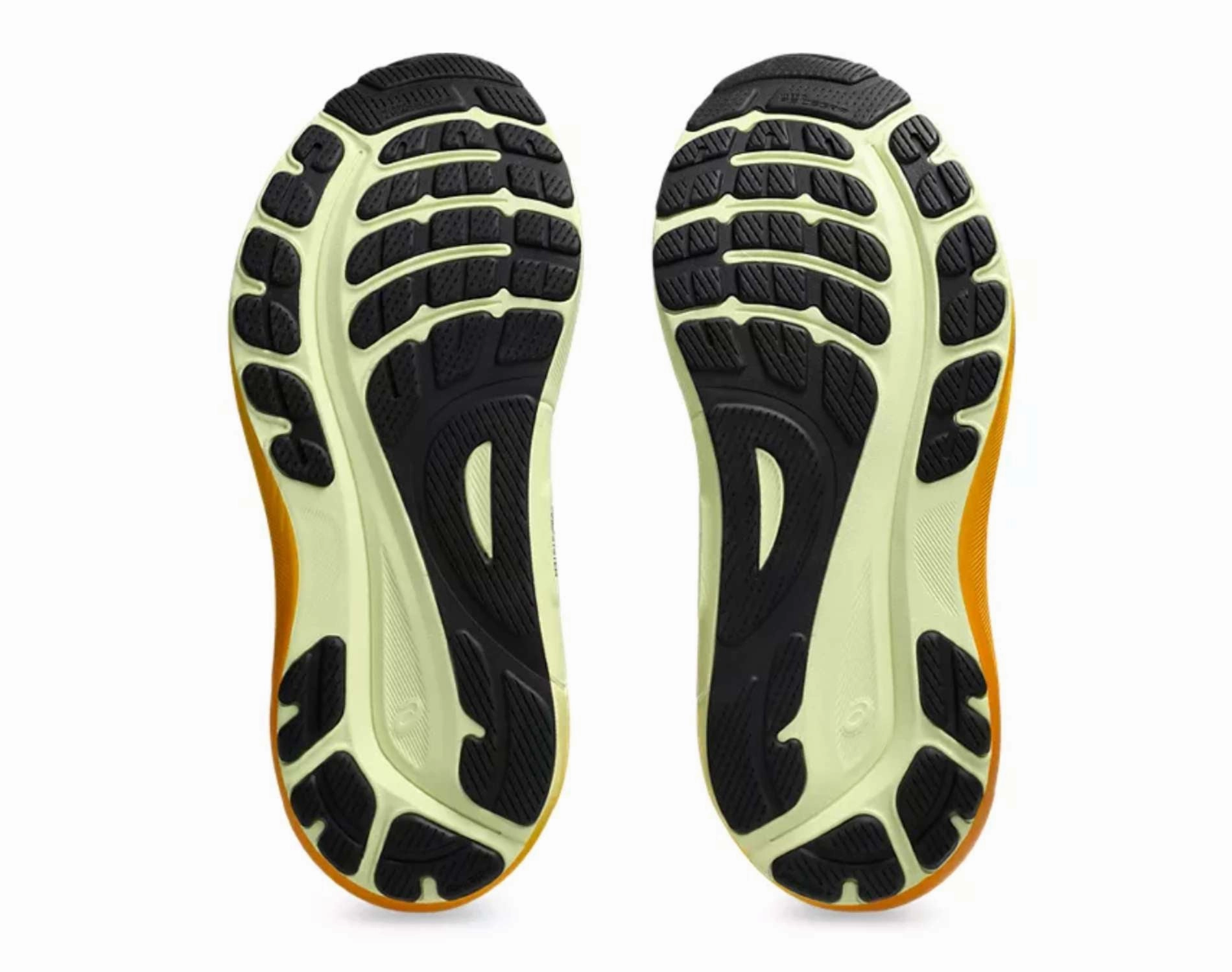 Shoes Asics Asics GEL Kayano 31 Mens Wide
