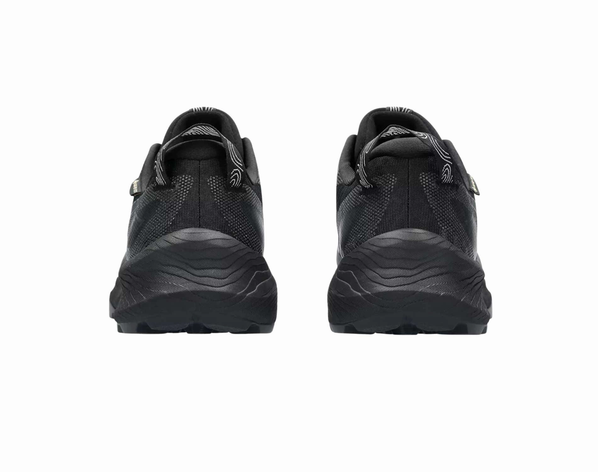 Shoes Asics Asics Gel-Trabuco 12 GTX Mens