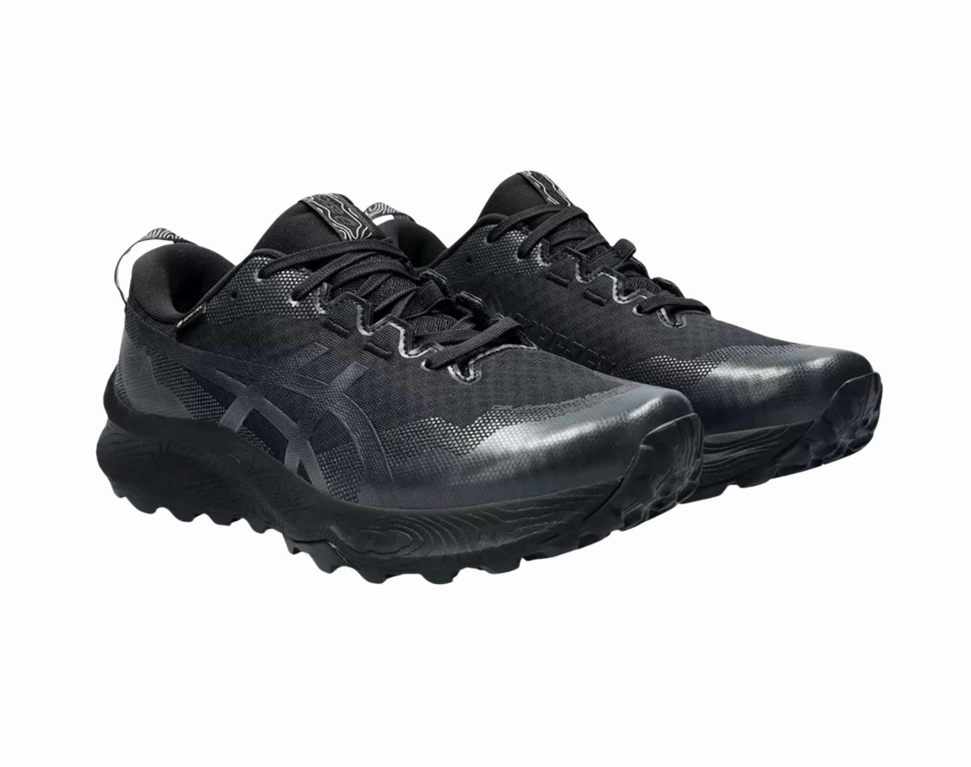 Shoes Asics Asics Gel-Trabuco 12 GTX Mens