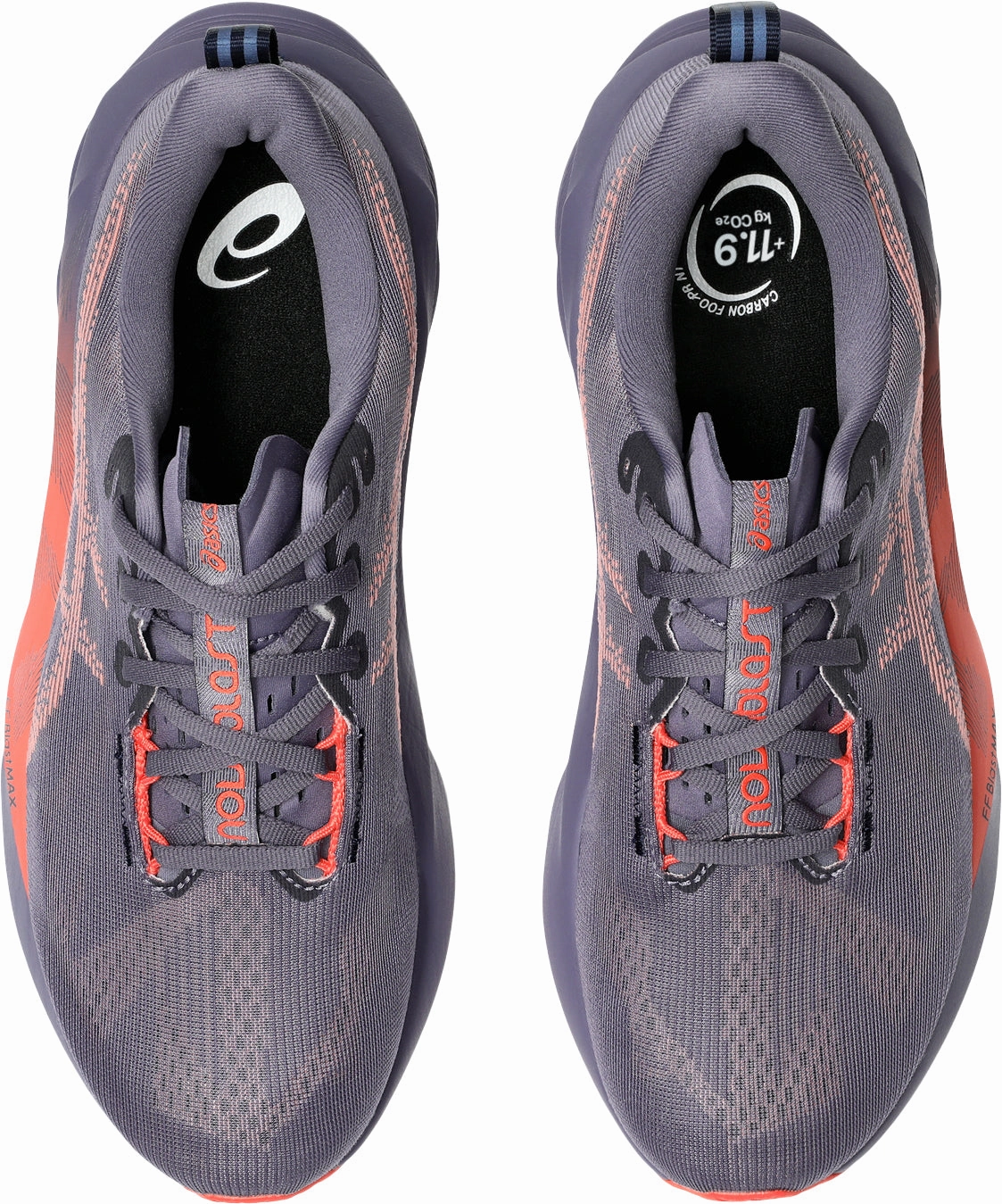 Shoes Asics Asics NovaBlast 5 Mens Running Shoes - Purple