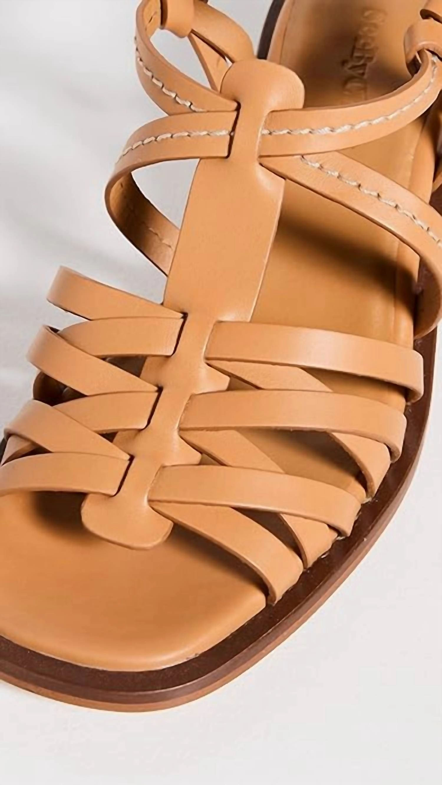 Women's Ozzy Whisky Sandals In Brown